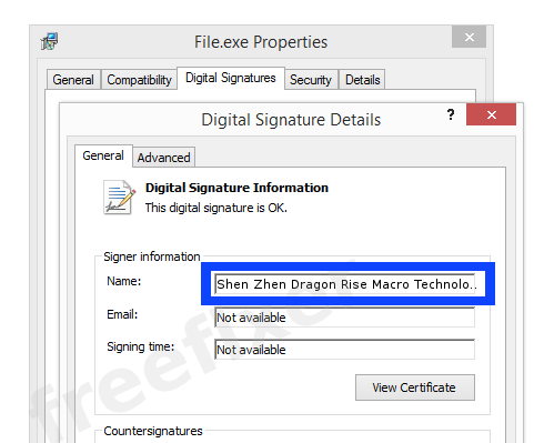 Screenshot of the Shen Zhen Dragon Rise Macro Technology Limited Company certificate